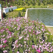 Royal Flora Ratchaphruek 2006